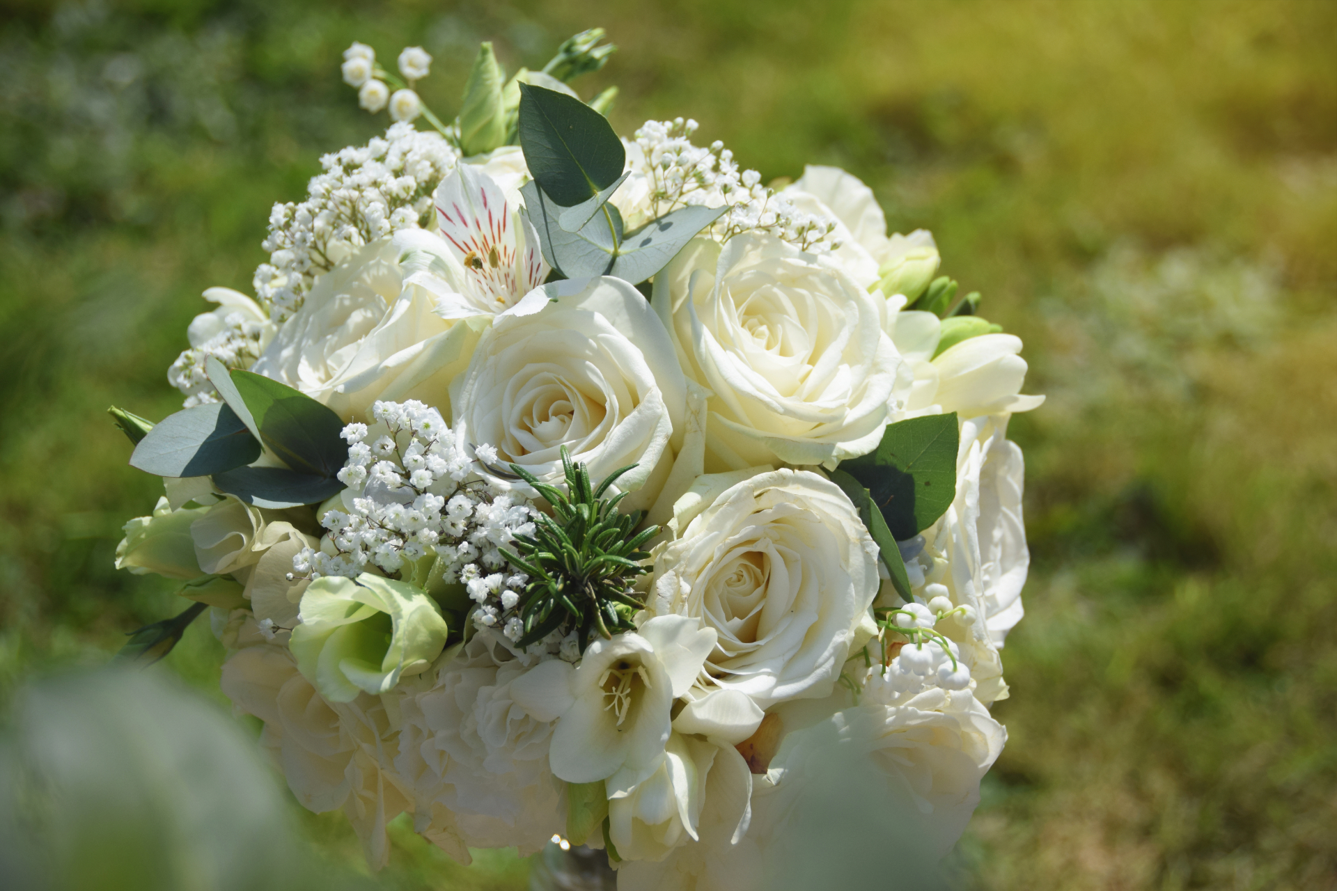 A beautiful bouquet of flowers.
